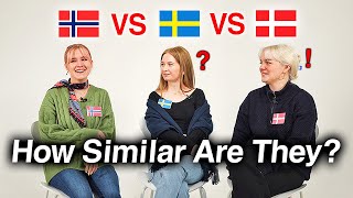 Can Nordic Countries Understand Each Other Danish Swedish Norwegian [upl. by Plante282]