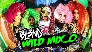 WILD MIX  DJ BL3ND [upl. by Beniamino]