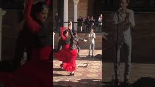 Flamenco dancing in beautiful Seville [upl. by Minny731]