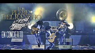 Los Plebes del Rancho de Ariel Camacho En Concierto En Vivo HD [upl. by Aekin]