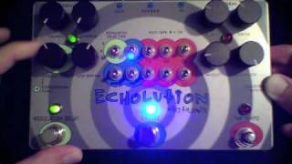 Pigtronix  Echolution  Self Oscillation [upl. by Amol147]