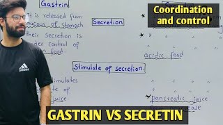 Gastrin vs secretin  gut hormones class 12  physiology of gastrin and secretin [upl. by Eneri]