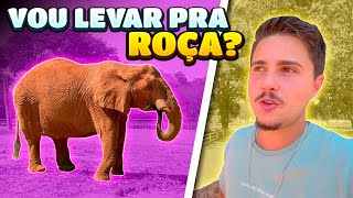 MINHA ROÇA VIROU UM ZOOLOGICO [upl. by Aonian824]