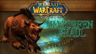 CLASSIC WoW Druid Tank Razorfen Kraul w Commentary [upl. by Enoid264]