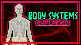 Body Systems Explained [upl. by Margi554]