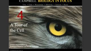 Biology in Focus Chapter 4 A Tour of the Cell Notes [upl. by Ytsim]