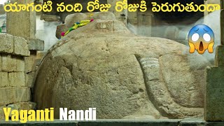 😱Mystery Of Yaganti Basavanna Temple😱😱  Explained in telugu [upl. by Romina]