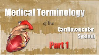 Medical Terminology of the Cardiovascular System Pt 1 [upl. by Karleen]