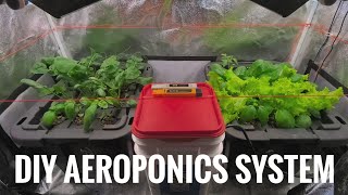 DIY Aeroponics Hydroponics System [upl. by Anwad359]