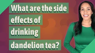 What are the side effects of drinking dandelion tea [upl. by Eulaliah]