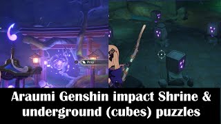 Araumi Genshin impact Shrine amp underground puzzlesCleansing defilement Quest location [upl. by Electra]