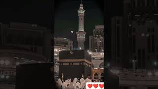 Islamic whatsapp status quran beautiful islamicquotes [upl. by Rexer]