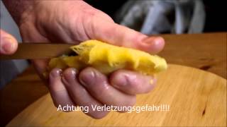 Mango vom Kern zur Pflanze  HOW TO GROW MANGO TREE [upl. by Yelraf]