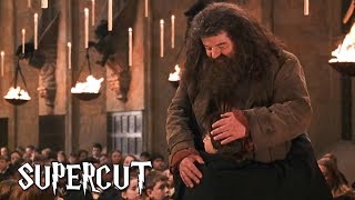 Harry Potter  Best of Hagrid [upl. by Otrevlig]