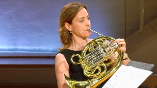 Rondo from Mozarts Horn Concerto Nr 4  Berlin Philharmonic Brass [upl. by Cynara]