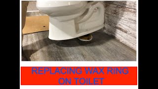 How to Fix a Wobbly Toilet Using Rubber Shims  StepbyStep Guide 🛠️🚽 [upl. by Icyaj318]