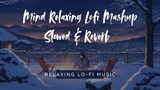 Mind Relaxing Lofi Mashup  Slowed amp Reverb  Chill Vibes for Relaxation amp Focus [upl. by Ahsie]