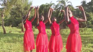 Waymaker by Sinach  Embraced Dance Team [upl. by Neumark]