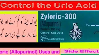 Zyloric tablets uses in urduhindi [upl. by Adnilg]