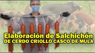 ELABORACION DE SALCHICHON CON CARNE DE CERDO CASCO DE MULA [upl. by Hoopen]