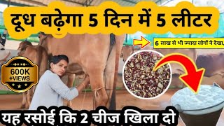 ये रसोई की 2✌ चीज खिला दो दूध बढ़ेगा 5 दिन में 5 लीटर  Dudh kaise badhaye milk cow buffalo dudh [upl. by Assisi]