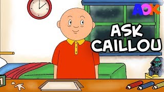 CAILLOU THE GROWNUP AMA [upl. by Polinski312]