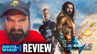 Aquaman 2 amp The Lost Kingdom REVIEW  Would It Have Worked WITHOUT Amber Heard [upl. by Itch665]