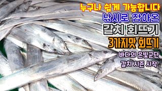 누구나 갈치 회뜨기 가능  갈치 회  cutlassfish Sashimi [upl. by Aicinet]