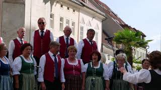 Junga Tåg  Gemischter Chor Liebenfels Live Aufnahme vom 15 Juli 2020 in St Veit ad Glan [upl. by Ecineg863]