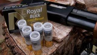 Low Recoil 12 gauge 00 BuckShot Test [upl. by Larual756]