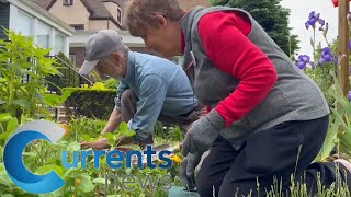 Bay Ridge Church Dedicates Garden During Laudato Si Week [upl. by Muraida]