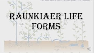 Raunkiaer Life forms  Classification of Life forms HPU BSc 1st Year [upl. by Orsola]