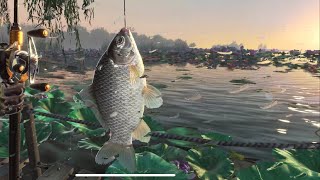 Fishing Master  AndroidIOS Gameplay  Realistic Graphics [upl. by Aissatsana]