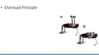 ACSM Guidelines Resistance Training [upl. by Anomor]