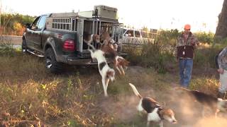 Deer Doggin On Public Land Lost Tribe Hunting Club 2023 Deer Season [upl. by Waller]