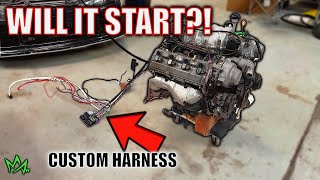 THIS HAS TO WORK Crazy 3UZ Engine Wiring  1 week engine swap [upl. by Anigar213]