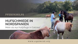 Die Hufschmiede in Nordspanien • mehr als nur Hufpflege in Galizien [upl. by Mcquade745]