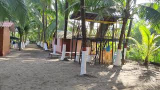 Seabird Resort Revdanda Alibag [upl. by Auqenwahs652]