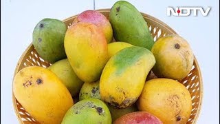 Popular Varieties of Mangoes In The Market An Easy Guide [upl. by Ttenneb594]