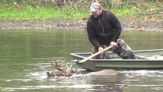 Veterinarian and his Son rescue a 10 Point Buck [upl. by Dame]