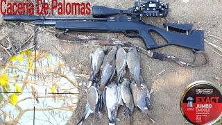 Caza De Palomas Con Rifle De Aire PCP [upl. by Halimak496]