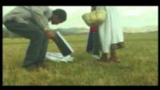 ethiopian song mushiriya [upl. by Xad]