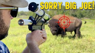 I Had To Shoot My Bison [upl. by Lammaj]