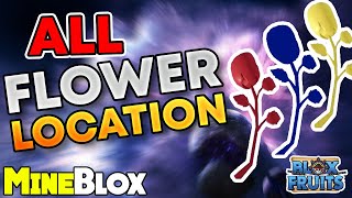 How to Find all Flowers Locations in Blox Fruits [upl. by Harriot]