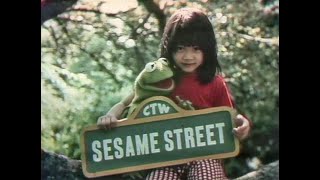 Sesame Street  Episode 1271 1979 [upl. by Nhabois40]