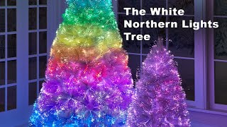 The White Northern Lights Tree [upl. by Ecnahs]