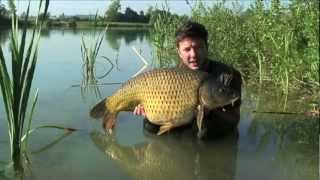 Gigantica Road Lake 3 [upl. by Yrod]