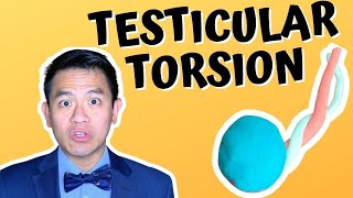 Testicular Torsion  What To Do About This Urologic Emergency [upl. by Noslien]