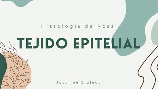 Tejido Epitelial  Parte I  Histología de Ross [upl. by Yentruok]