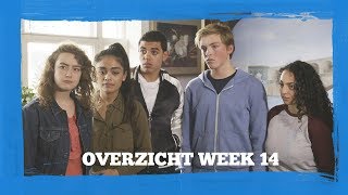 Overzicht week 14  Forever [upl. by Ophelie177]